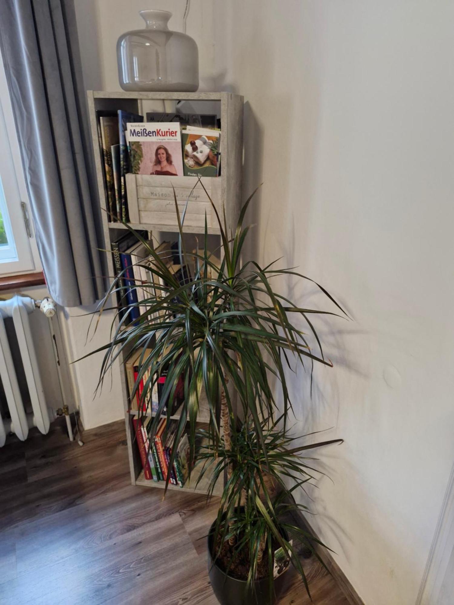 Ferienwohnung Ines Wolf In Der Meissner Innenstadt Meißen Esterno foto